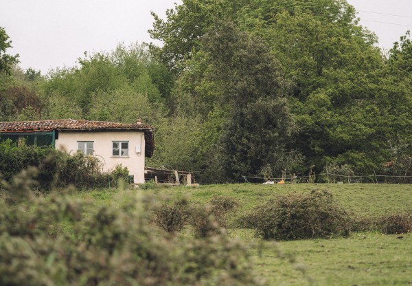 Imagen de cabecera de Proyecto Tortuga