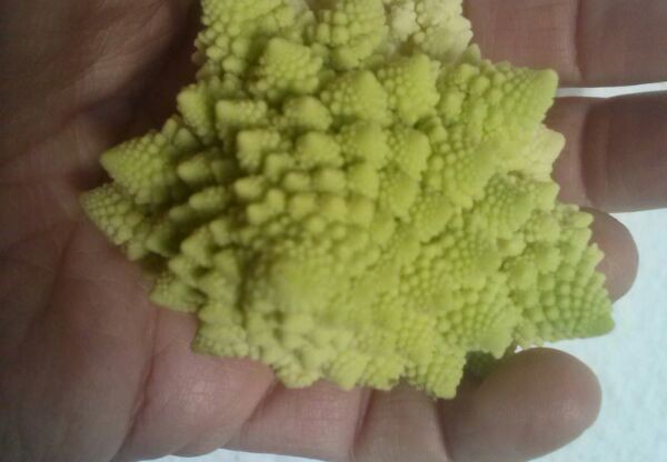 Imatge de capçalera de Menjador infantil Ca la Rosa