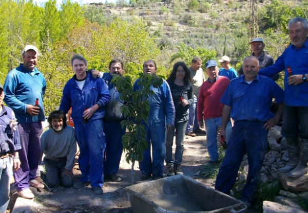 Imatge de capçalera de 