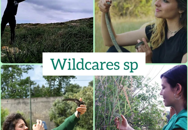 Imagen de cabecera de Espacio de Esperanza para la Fauna de Málaga