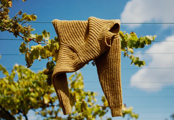 Materia Botánica: Exploring plant waste to dye's header image