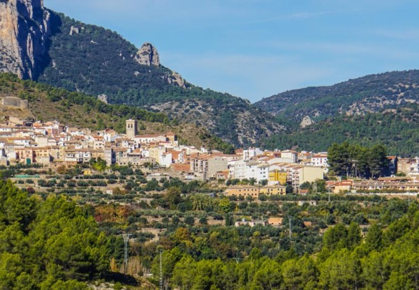 Imagen de cabecera de BEJIS DEL NEGRO AL VERDE