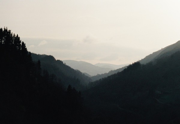 Imatge de capçalera de NEGU HURBILAK