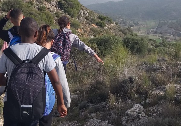 Imatge de capçalera de 