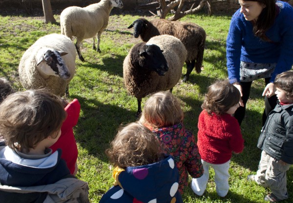 ¡En Babàlia tenemos planes!'s header image