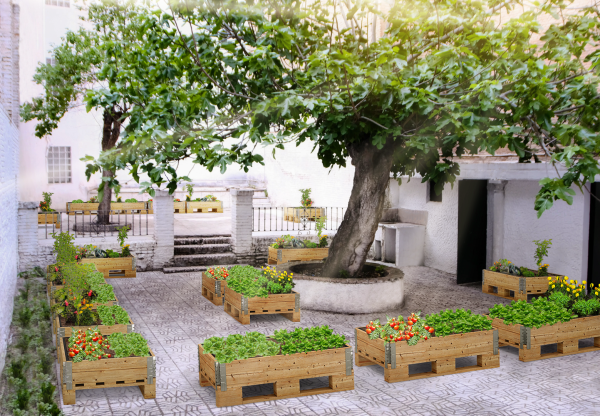 Imatge de capçalera de Huerto Urbano de Plaza Nueva