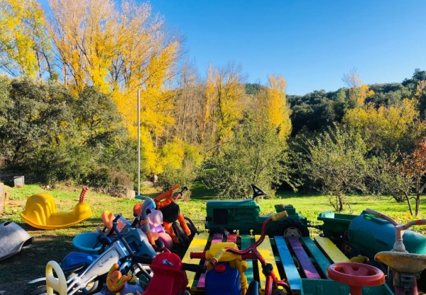 Imatge de capçalera de ¡AYUDANDO A CRECER A LA SEMILLA !