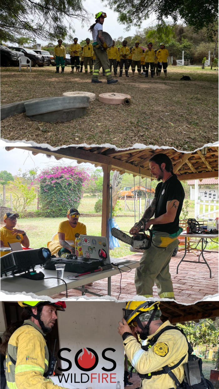 amarillo-y-celeste-collage-papel-rasgado-tu-histor-1