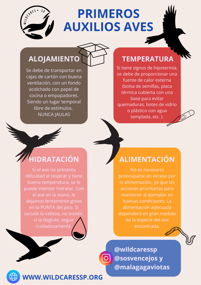 auxilios-generales-aves-1.png