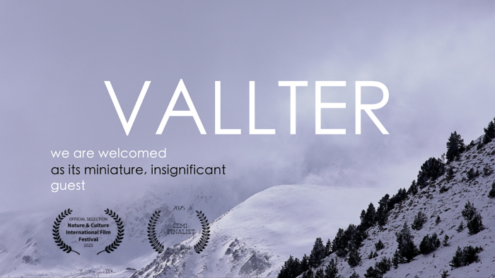 vallter-3.png