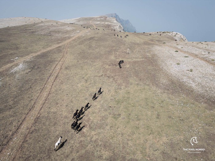 240820-pottok-sierra-andia-drone-73.jpg