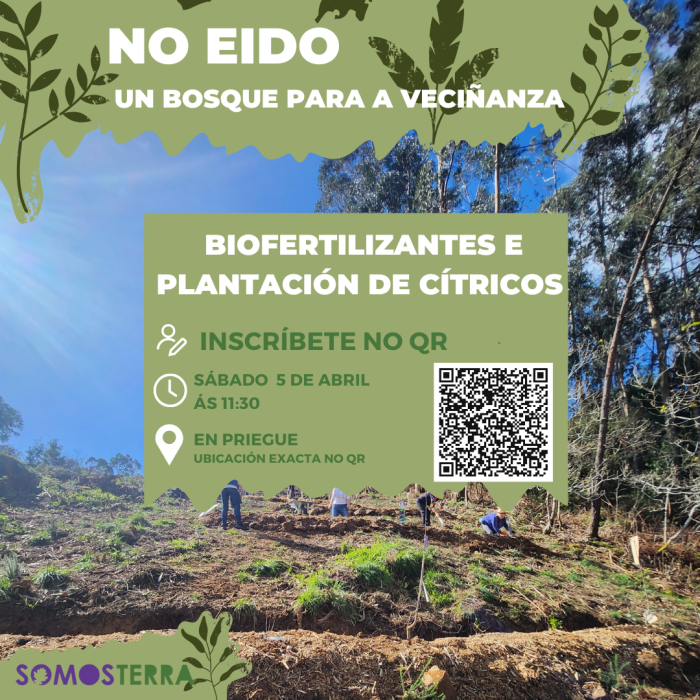 Segunda xornada de plantación!