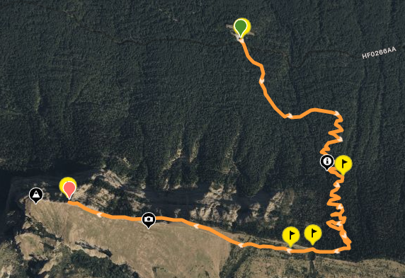 Ruta