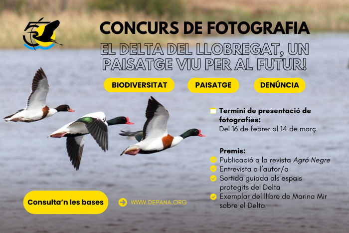 Participa en el concurs de fotografia “El delta del Llobregat, un paisatge viu per al futur”