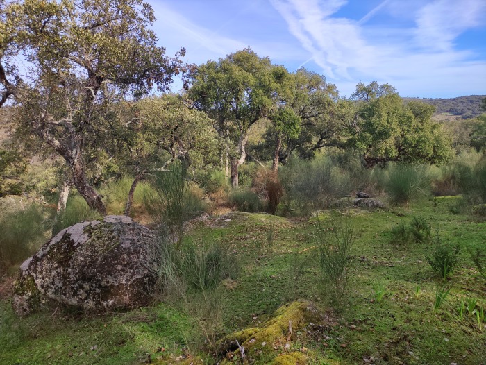 UNA NUEVA OPORTUNIDAD