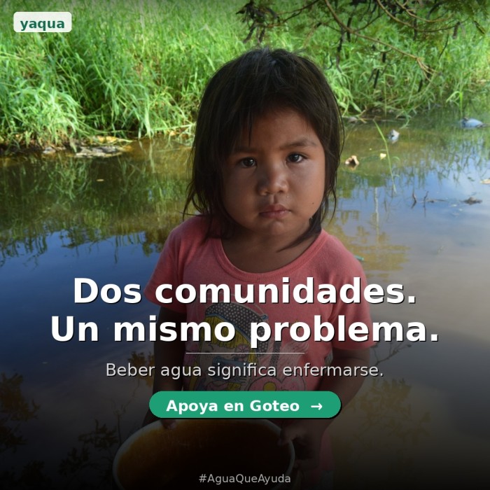 Ya alcanzamos el 6% de la meta: esto recién comienza 💚