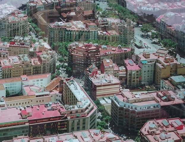 Immagine di intestazione