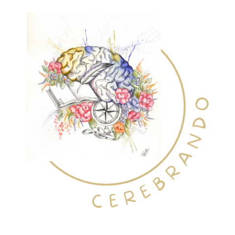 Imatge de capçalera