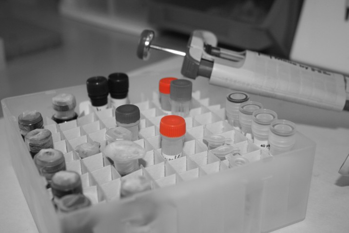 Immagine di intestazione