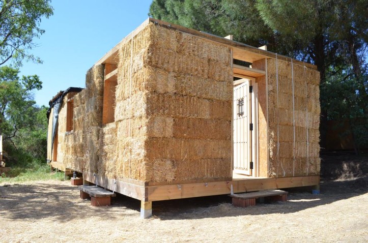 Immagine di intestazione