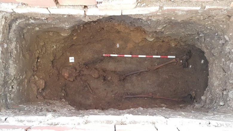 Immagine di intestazione