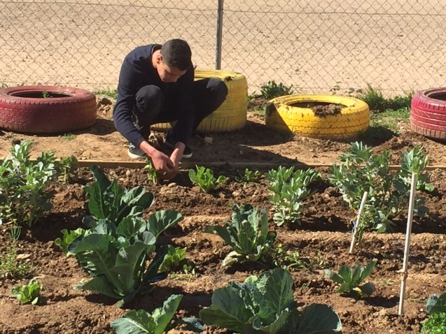 Imatge de capçalera