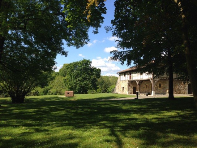 Immagine di intestazione