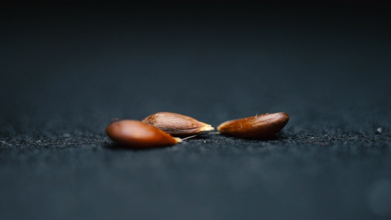 Immagine di intestazione