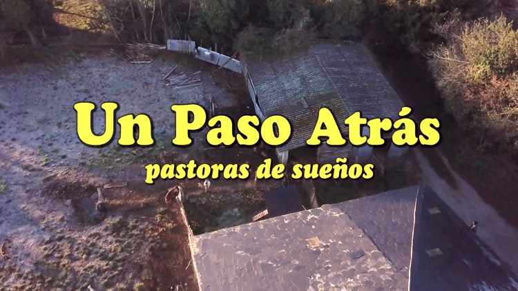 Immagine di intestazione